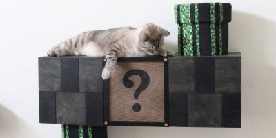 Get High-Quality Custom Cat Trees at Affordable Cost
