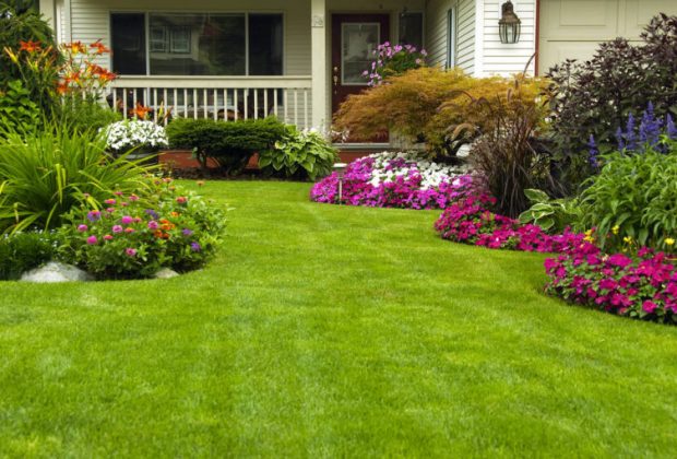 landscaping in Chester