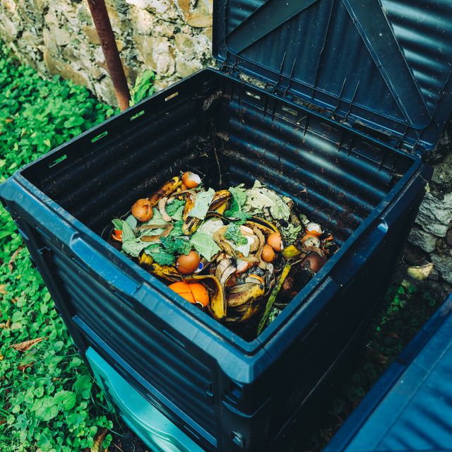 buy compost bin singapore