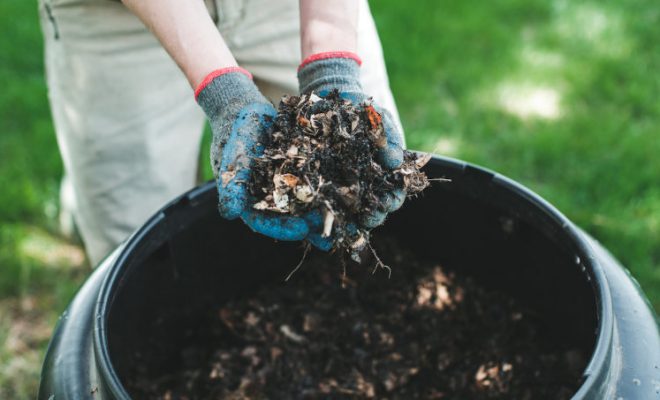 buy compost bin